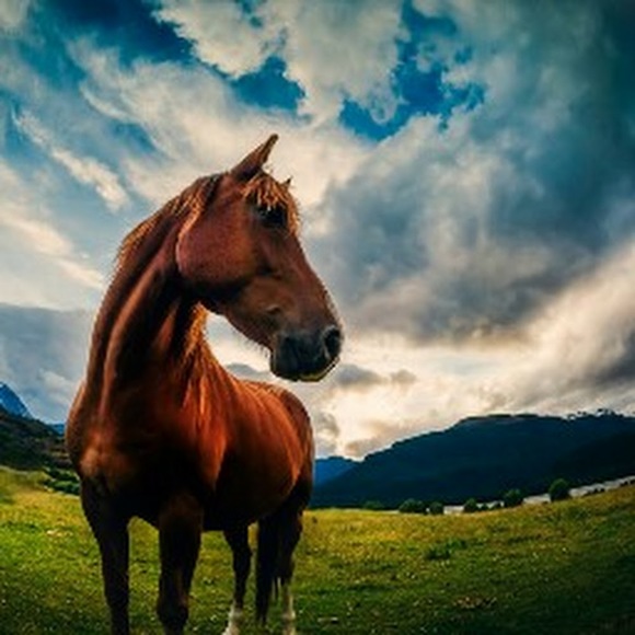 Meet your Posher, Jordan - Picture 1 of 1